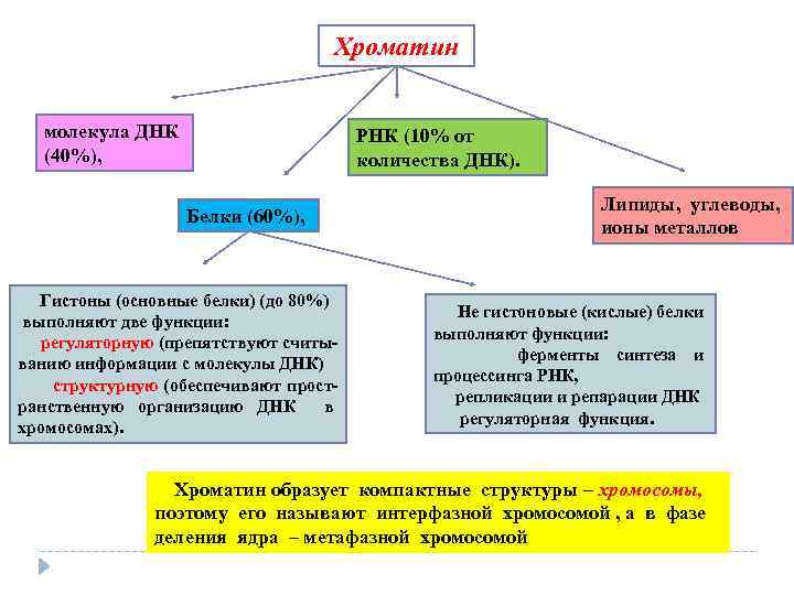 Живой тип