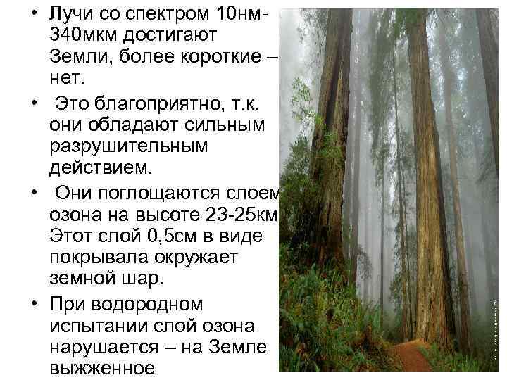  • Лучи со спектром 10 нм 340 мкм достигают Земли, более короткие –