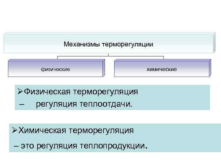 Механизмы терморегуляции физические химические ØФизическая терморегуляция – регуляция теплоотдачи. ØХимическая терморегуляция – это регуляция