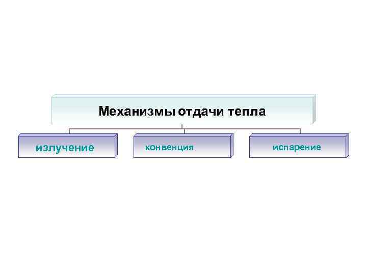 Механизмы отдачи тепла излучение конвенция испарение 