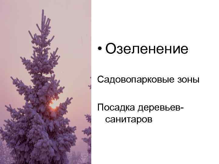 • Озеленение Садовопарковые зоны Посадка деревьевсанитаров 