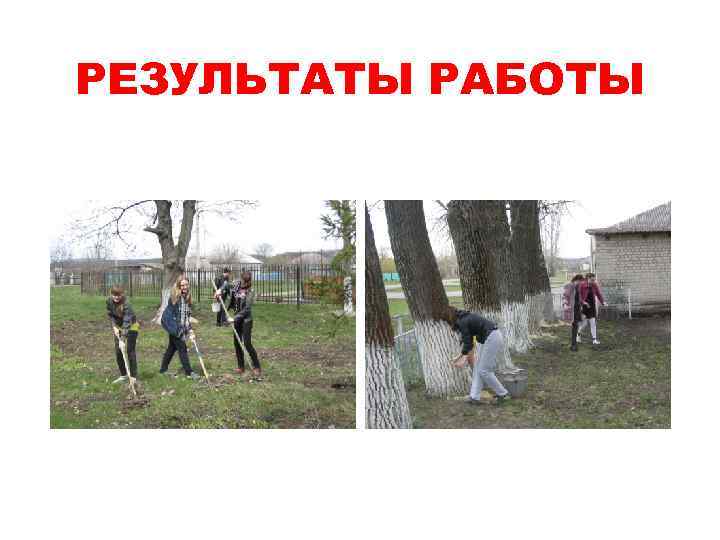 РЕЗУЛЬТАТЫ РАБОТЫ 