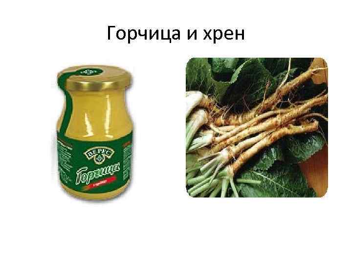 Горчица и хрен 