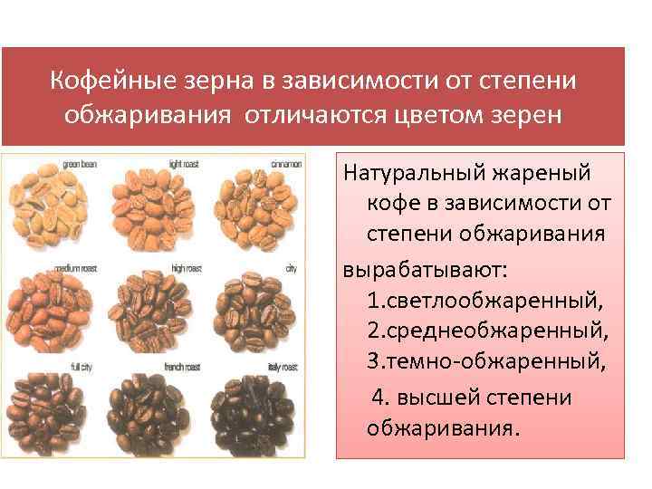 Кофейные зерна в зависимости от степени обжаривания отличаются цветом зерен Натуральный жареный кофе в