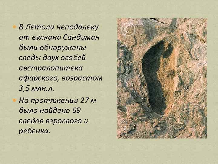  В Летоли неподалеку от вулкана Сандиман были обнаружены следы двух особей австралопитека афарского,