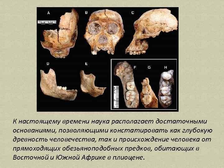 К настоящему времени наука располагает достаточными основаниями, позволяющими констатировать как глубокую древность человечества, так