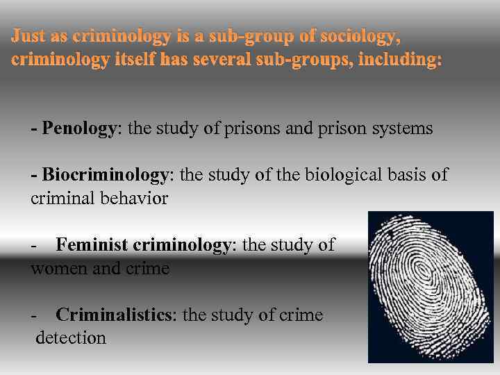 Just as criminology is a sub-group of sociology, criminology itself has several sub-groups, including:
