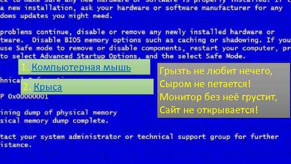 1. Компьютерная мышь 2. Крыса Грызть не любит нечего, Сыром не петается! Монитор без