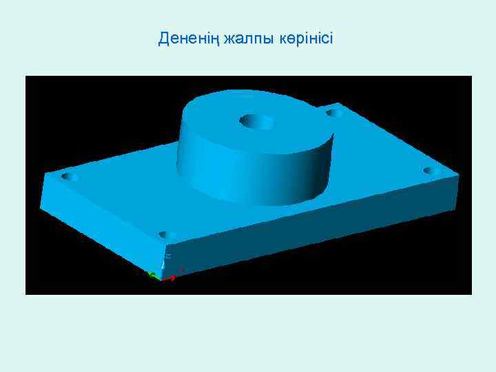 Дененің жалпы көрінісі 