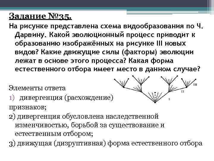 Задание № 35. На рисунке представлена схема видообразования по Ч. Дарвину. Какой эволюционный процесс