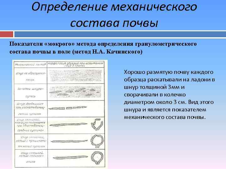 От чего зависит механический состав почвы. Определение механического состава почвы полевым методом таблица. Определение механического состава. Определение механического состава почвы. Таблица определение механического состава почвы.