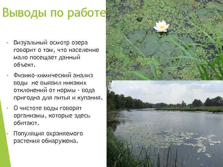 Выводы по работе • Визуальный осмотр озера говорит о том, что население мало посещает