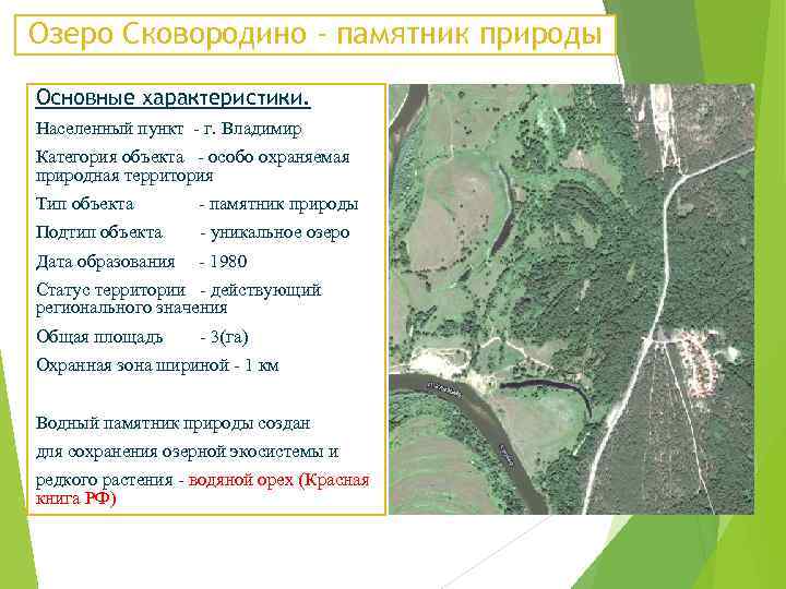 Озеро Сковородино - памятник природы Основные характеристики. Населенный пункт - г. Владимир Категория объекта