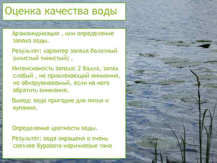 Оценка качества воды 1. Аромоиндикация , или определение запаха воды. Результат: характер запаха болотный