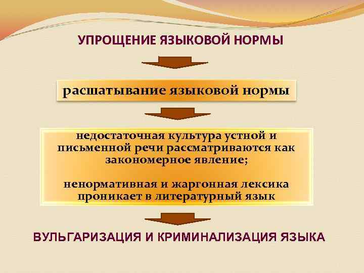 УПРОЩЕНИЕ ЯЗЫКОВОЙ НОРМЫ расшатывание языковой нормы недостаточная культура устной и письменной речи рассматриваются как