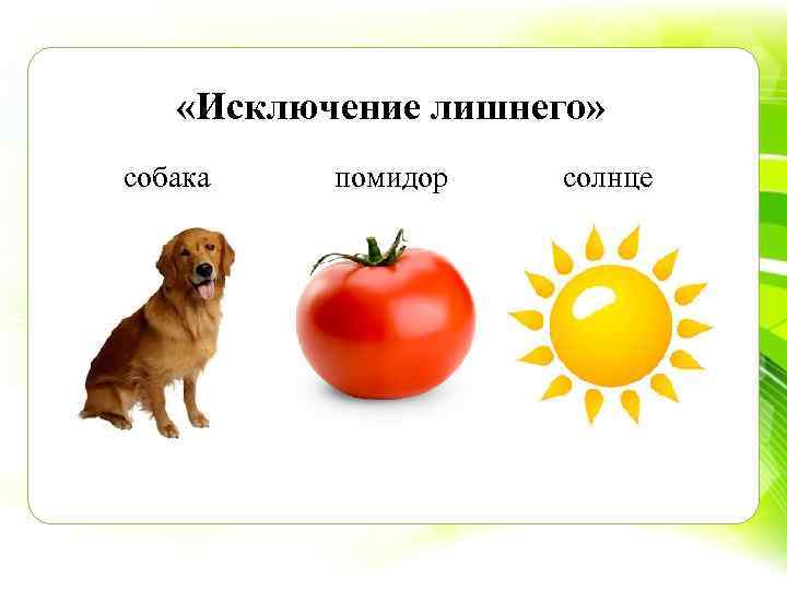  «Исключение лишнего» собака помидор солнце 