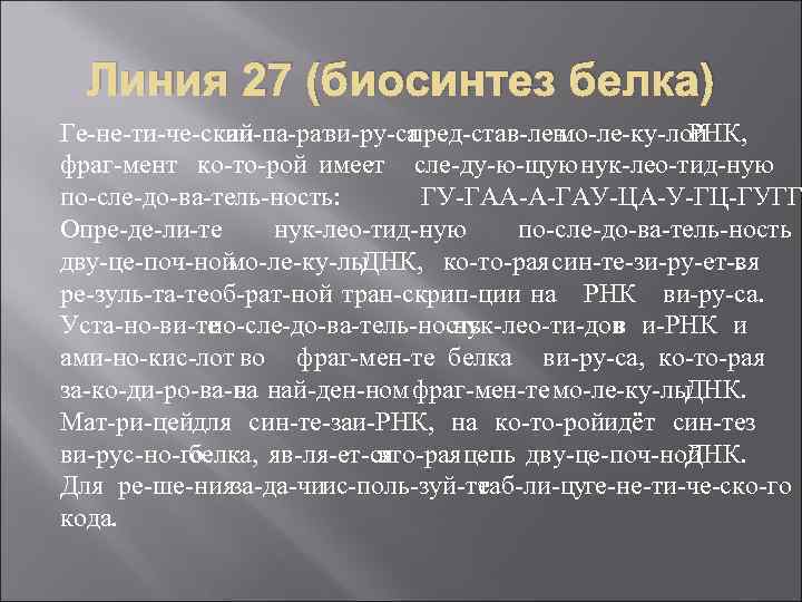 Линия 27 (биосинтез белка) Ге не ти че ский ап па рат ви ру