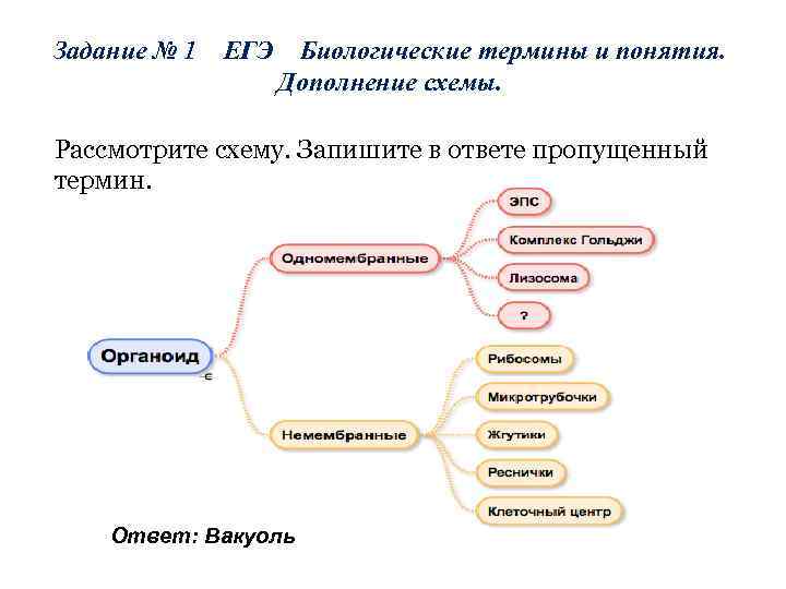 Биологические термины егэ