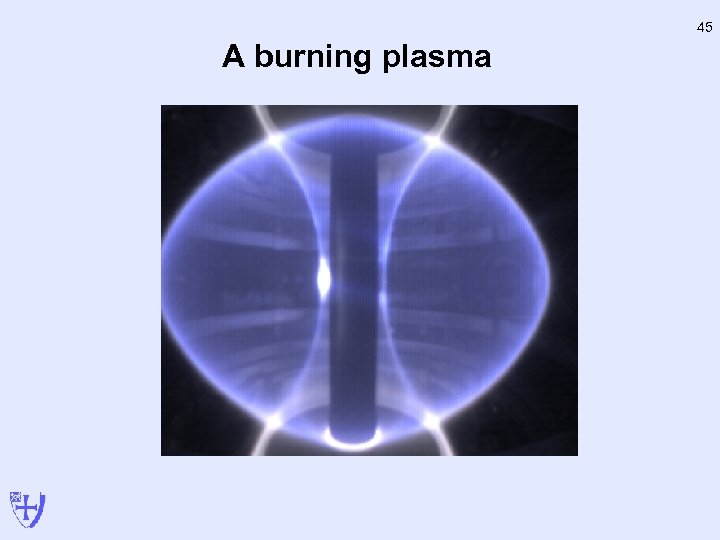 45 A burning plasma 