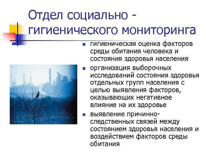 Отдел социально - гигиенического мониторинга n n n гигиеническая оценка факторов среды обитания человека