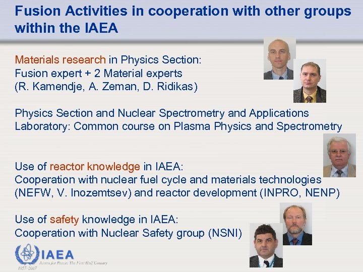 Fusion Activities in cooperation with other groups within the IAEA Materials research in Physics