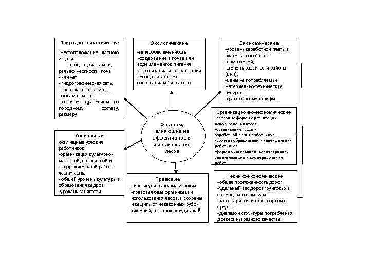 Природно-климатические -местоположение лесного угодья -плодородие земли, рельеф местности, почв - климат, - гидрографическая сеть,