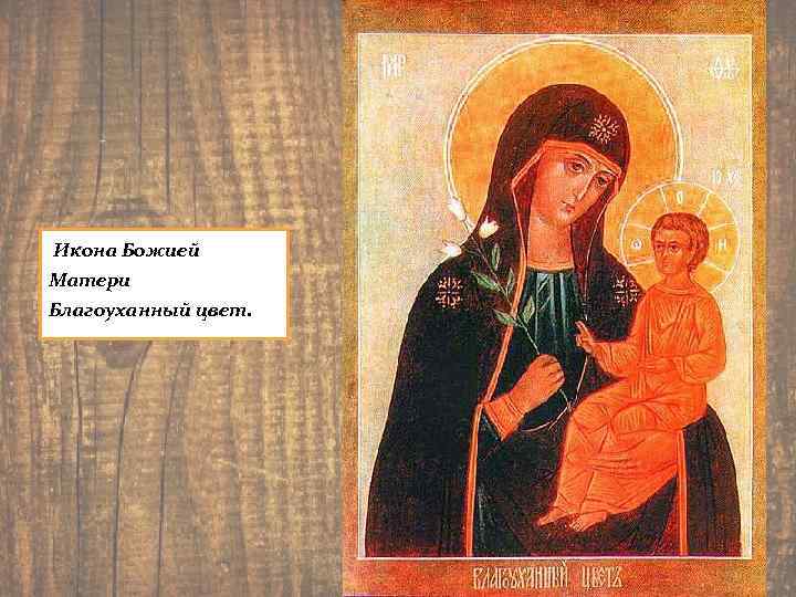  Икона Божией Матери Благоуханный цвет. 