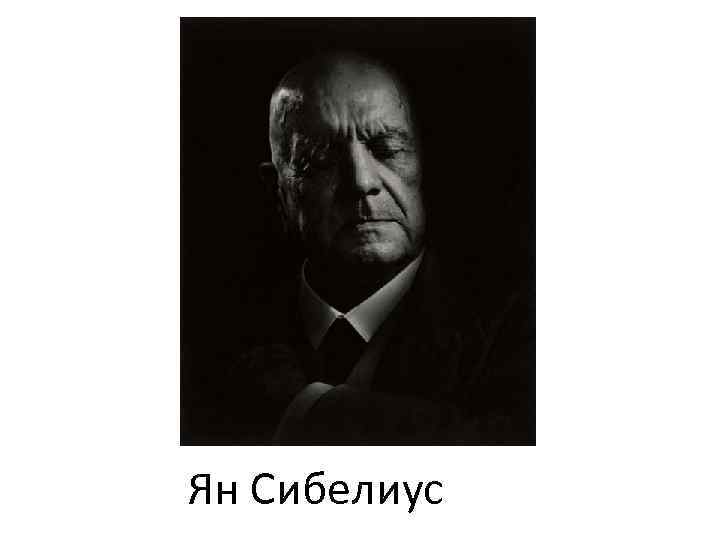Ян Сибелиус 