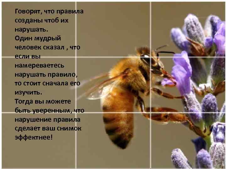Говорят, что правила созданы чтоб их нарушать. Один мудрый человек сказал , что если