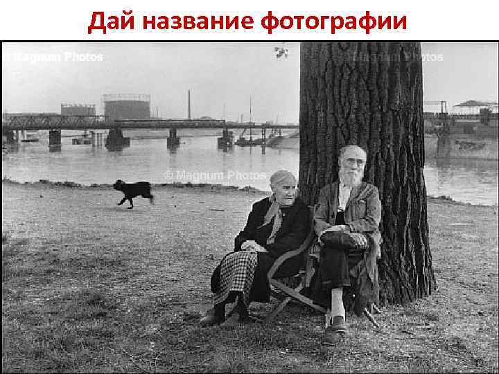 Дай название фотографии 