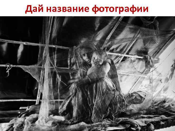 Дай название фотографии 