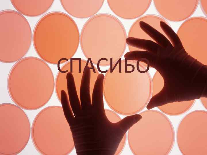 СПАСИБО 