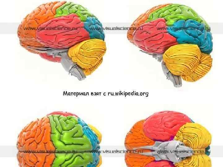 Материал взят с ru. wikipedia. org 