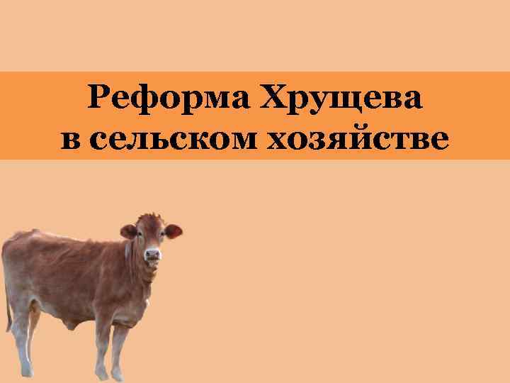 Реформа Хрущева в сельском хозяйстве 