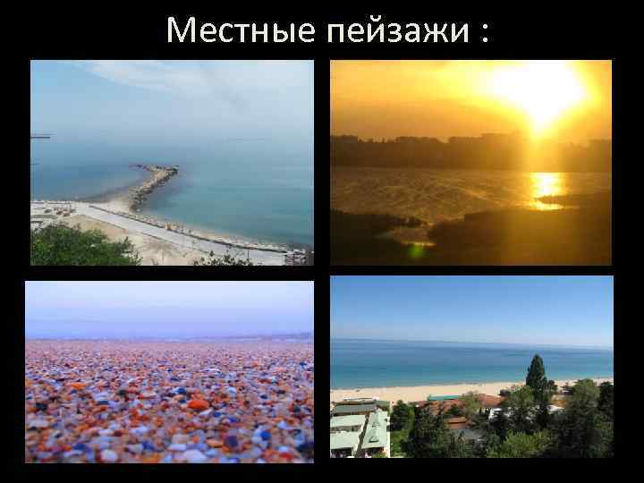 Местные пейзажи : 