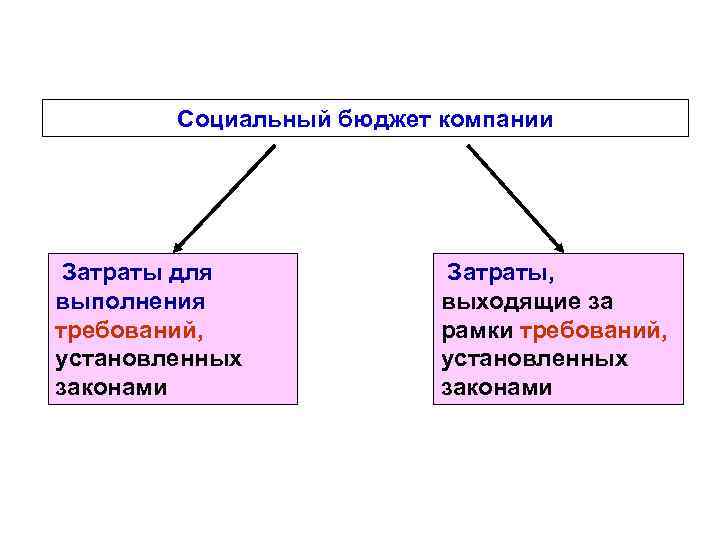 Социальный бюджет компании Затраты для выполнения требований, установленных законами Затраты, выходящие за рамки требований,