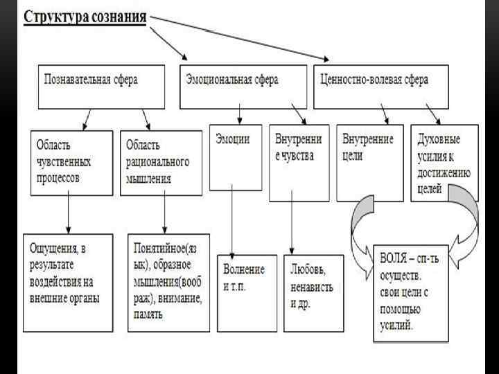 Характеристики сознания схема