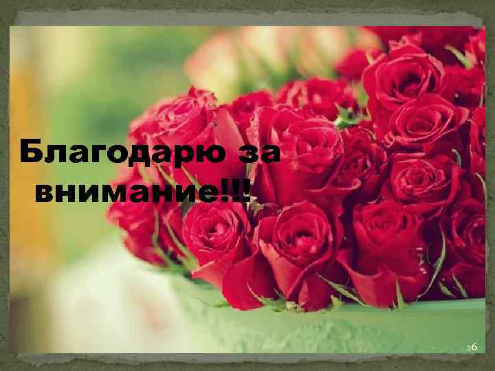 Благодарю за внимание!!! 26 