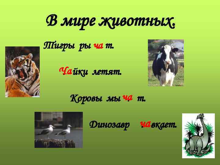 В мире животных. Тигры ры ча т. . Ча йки летят. . Коровы мы