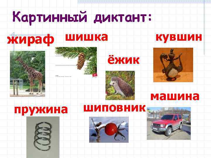 Картинный диктант: жираф шишка кувшин ёжик пружина шиповник машина 