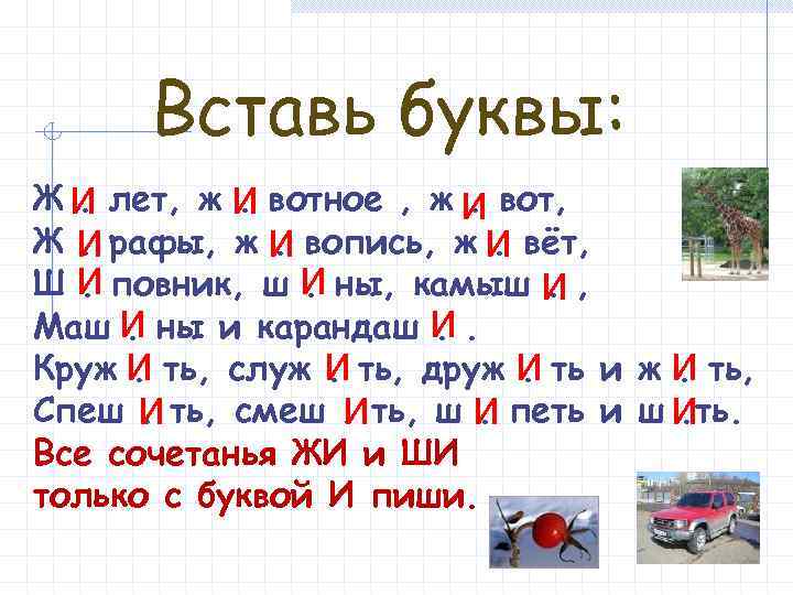 Вставь буквы: Ж и лет, ж и вотное , ж и вот, . .