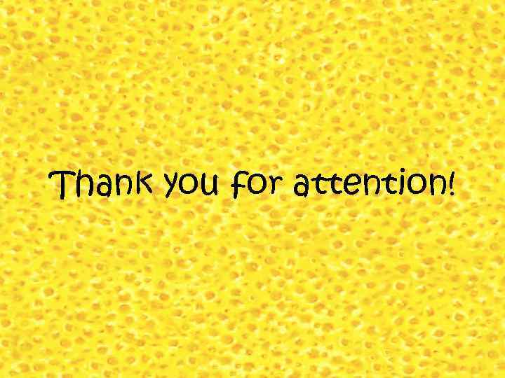 Thank you for attention! 