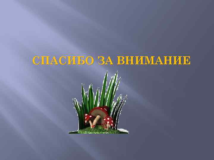 СПАСИБО ЗА ВНИМАНИЕ 