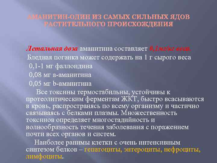 АМАНИТИН-ОДИН ИЗ САМЫХ СИЛЬНЫХ ЯДОВ РАСТИТЕЛЬНОГО ПРОИСХОЖДЕНИЯ Летальная доза аманитина составляет 0, 1 мг/кг