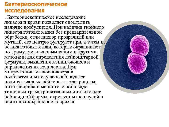 . Бактериоскопическое исследование ликвора и крови позволяет определить наличие возбудителя. При наличии гнойного ликвора