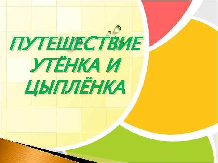 ПУТЕШЕСТВИЕ УТЁНКА И ЦЫПЛЁНКА 