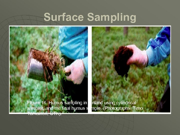 Surface Sampling Figure 16. Humus sampling in Finland using cylindrical sampler, and the final