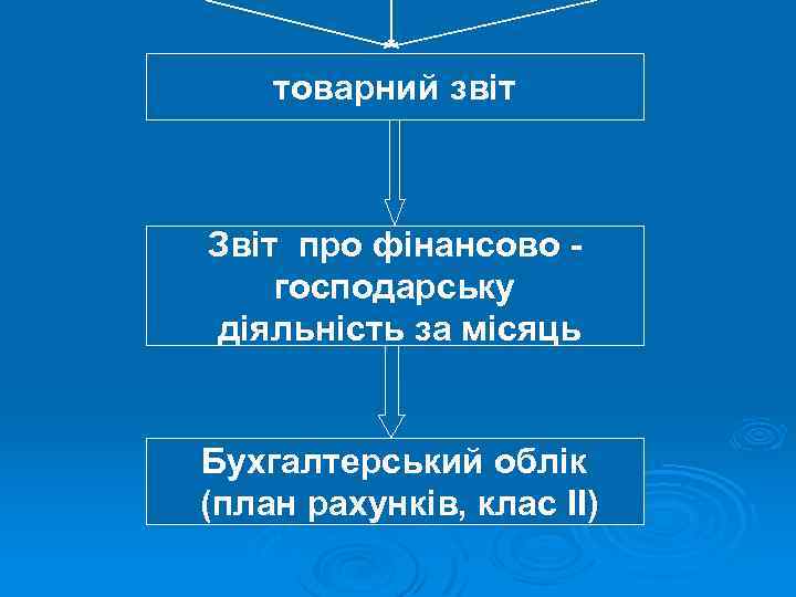 товарний звіт Звіт про фінансово господарську діяльність за місяць Бухгалтерський облік (план рахунків, клас