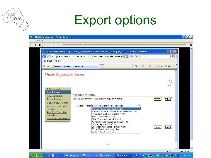 Export options 