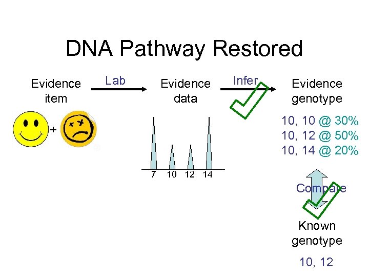 DNA Pathway Restored Evidence item Lab Evidence data Infer Evidence genotype 10, 10 @